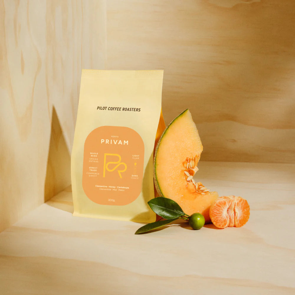 Pilot Coffee Beans - Privam