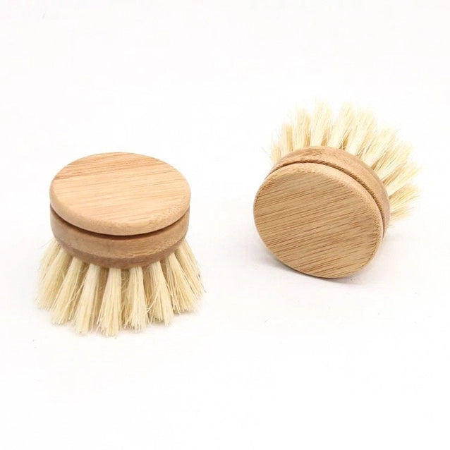 Bamboo Dish Brush Replacement Head