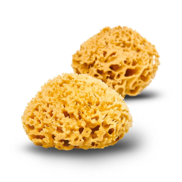 Natural Bath & Cleaning Grass Sea Sponge - Smile Boutiques