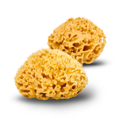 Natural Bath & Cleaning Grass Sea Sponge - Smile Boutiques