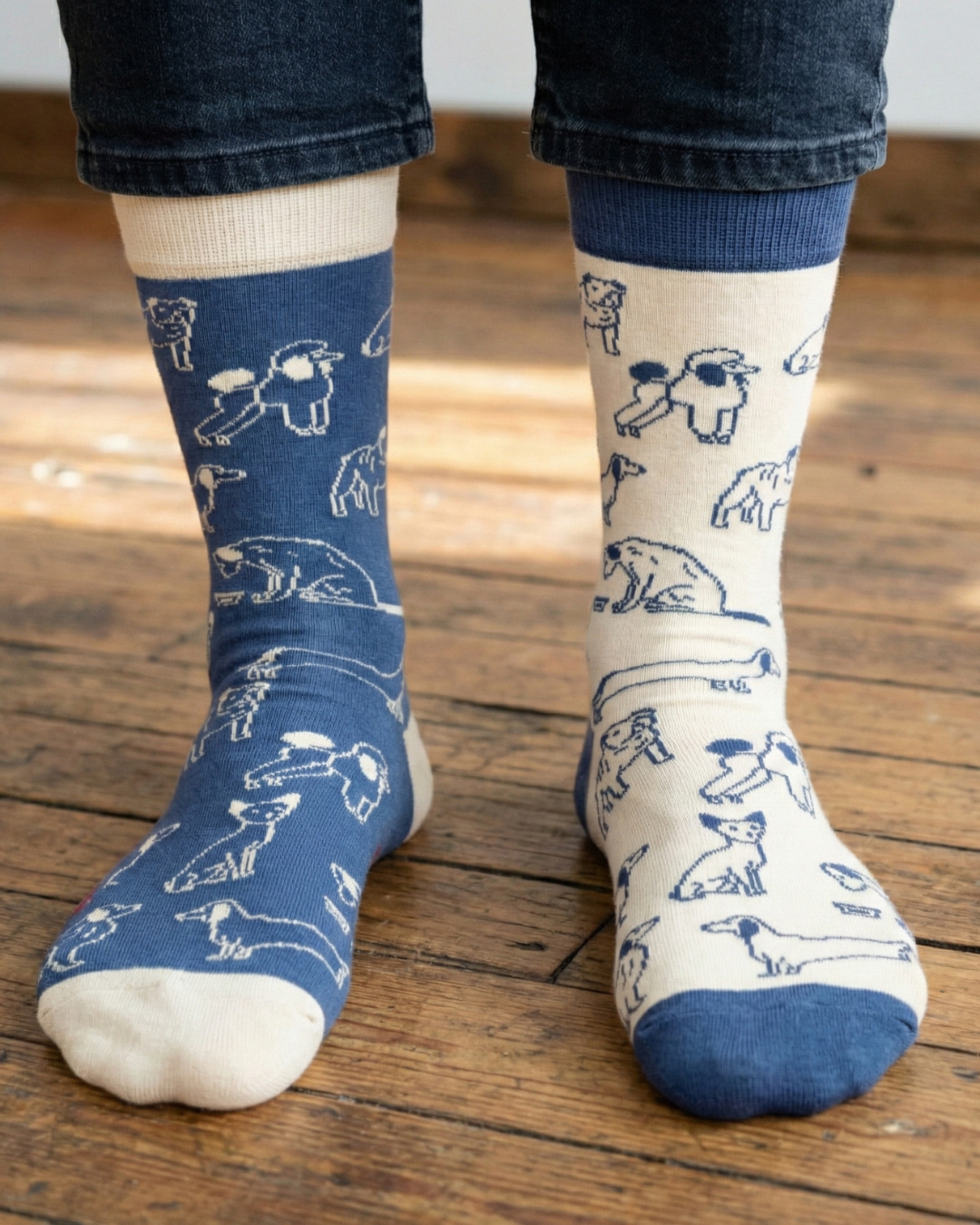 Men's Socks - Friday Sock Co