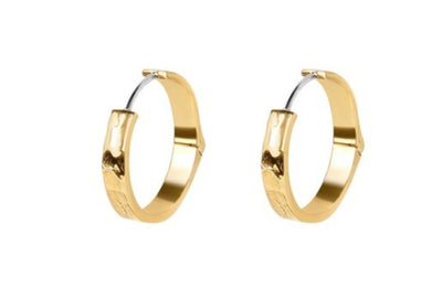 Esme | Gold Small Hoop Earrings - Bambu