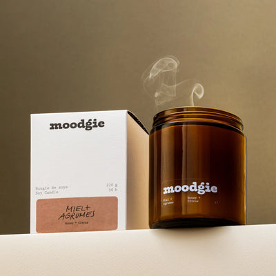 Honey + Citrus - 4 oz Candle - moodgie