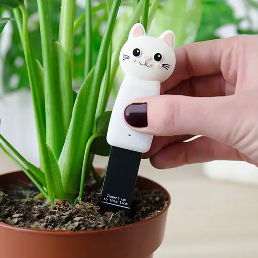 Cat Plant Moisture Meter