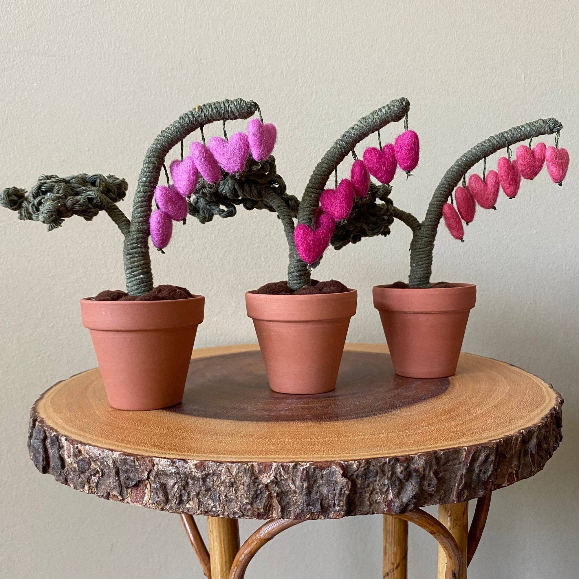 Macrame and Felted Bleeding Heart Forever Plant