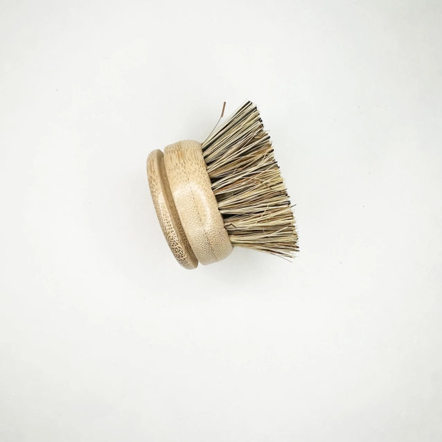 Bamboo Dish Brush Replacement Head