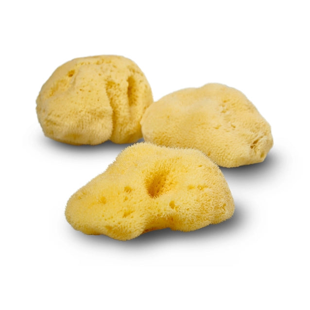 Natural Bath & Cleaning Grass Sea Sponge - Smile Boutiques