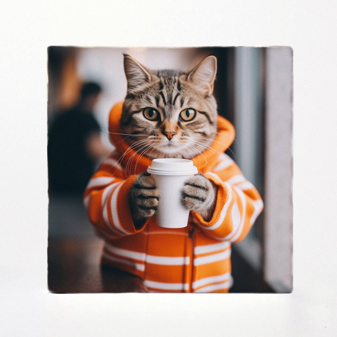 Coasters
