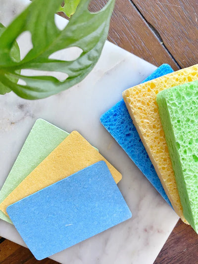 Pop Up Sponge - 3 Pack