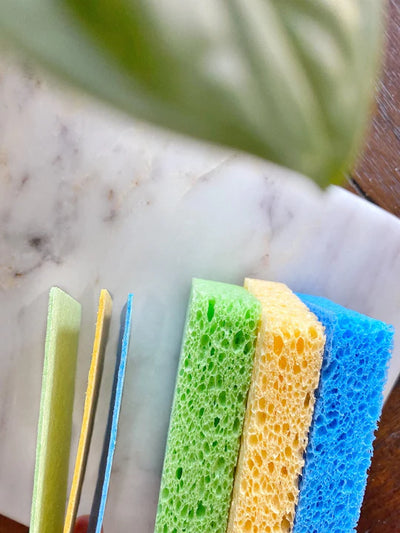 Pop Up Sponge - 3 Pack